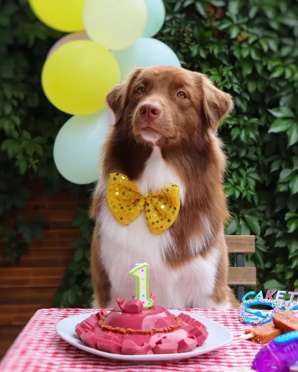 1 y.o.