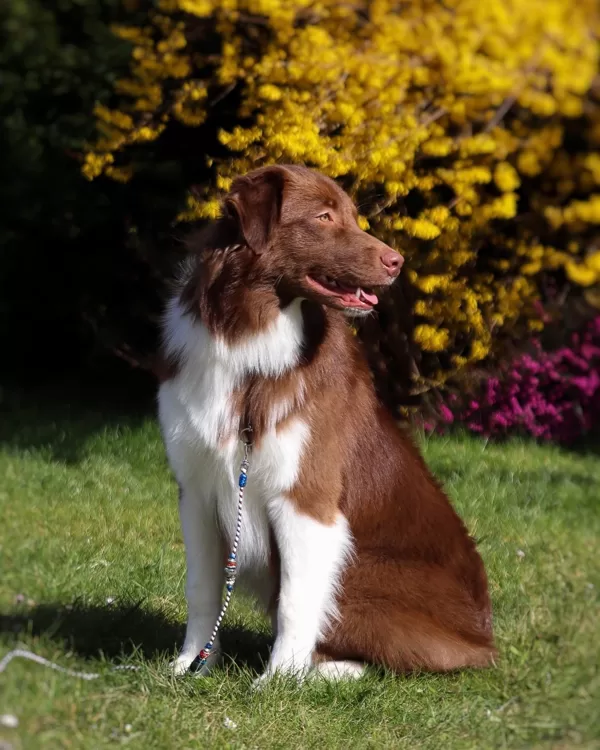 8 months old