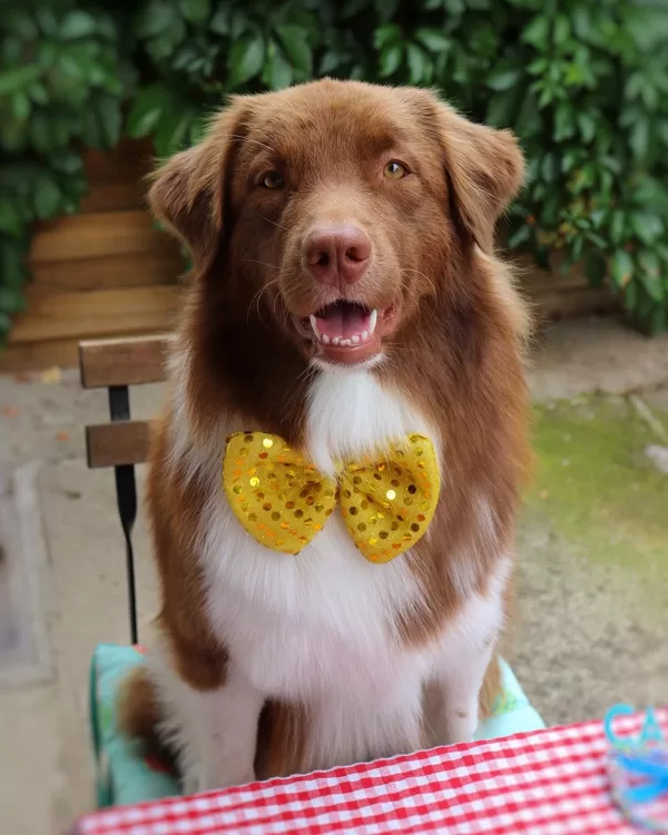 1 y.o.