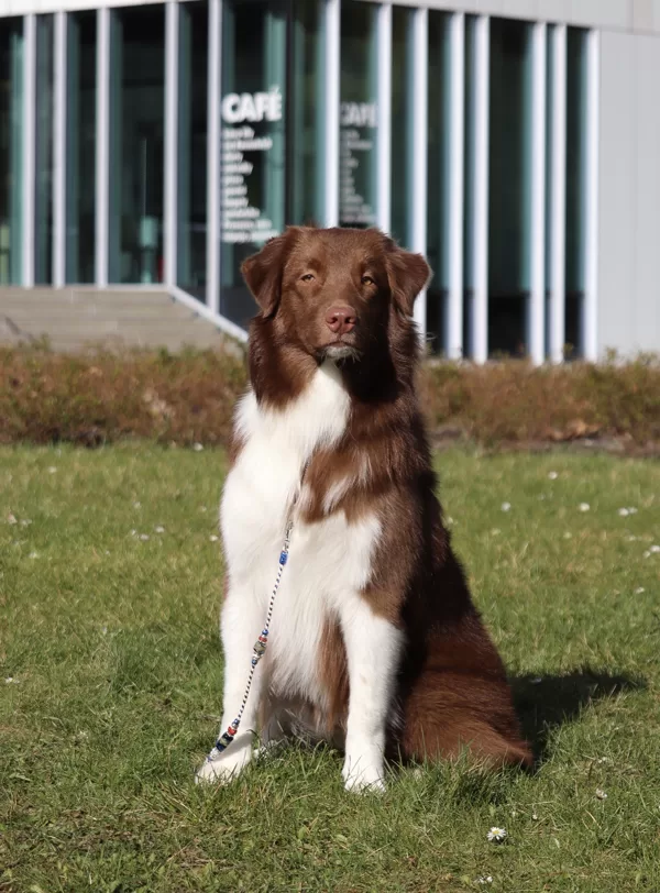 8 months old