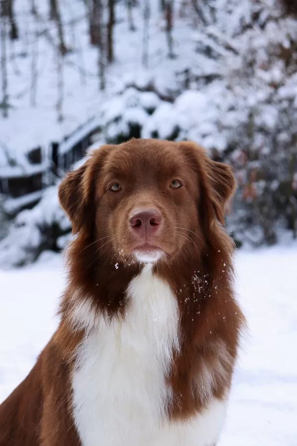 1 y.o.