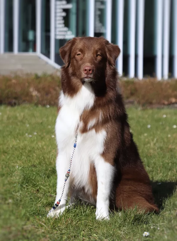 8 months old